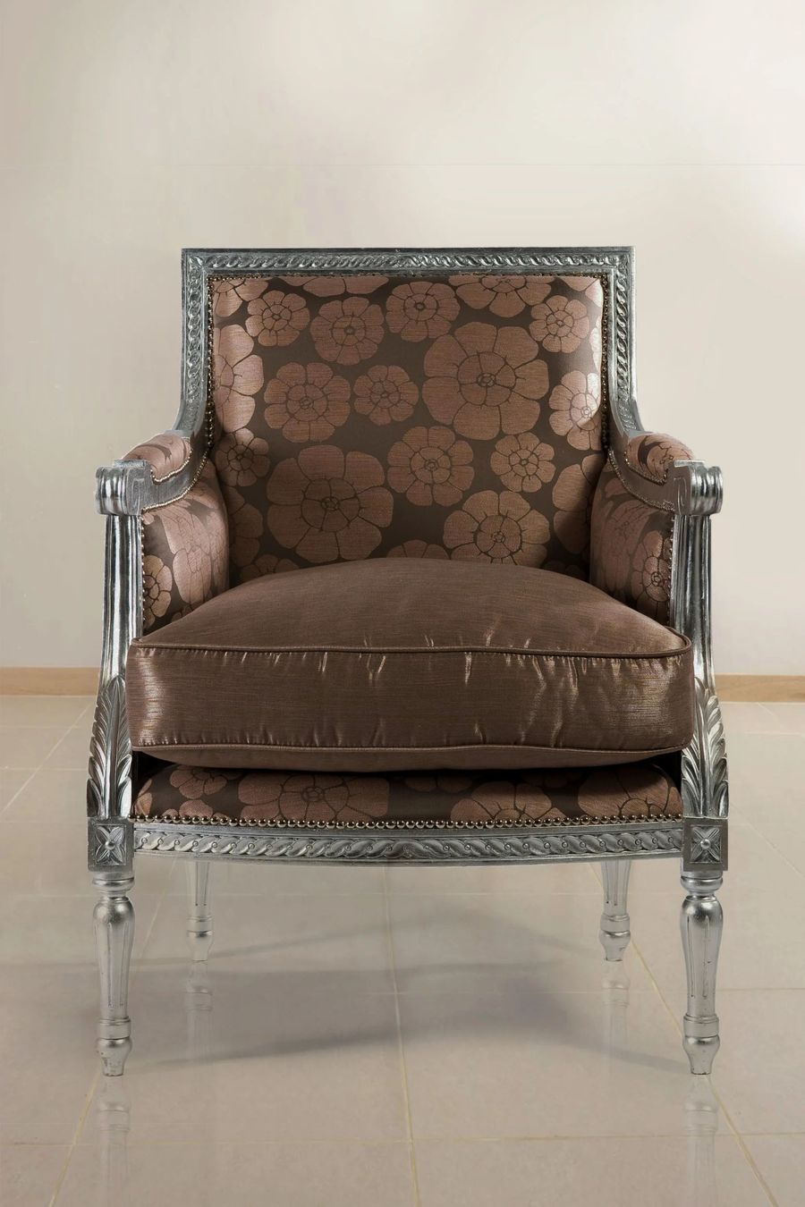 Seat cushoon detail of the Directoire bergere mahogany wood silver paint