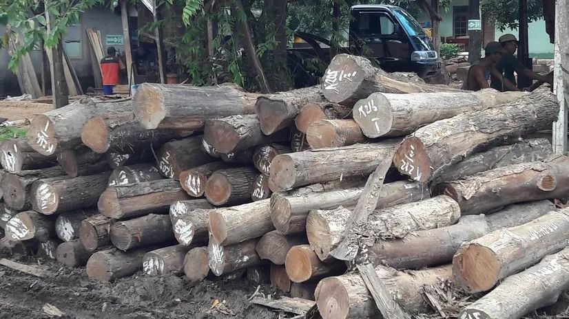 Plantation harvested teak wood legs