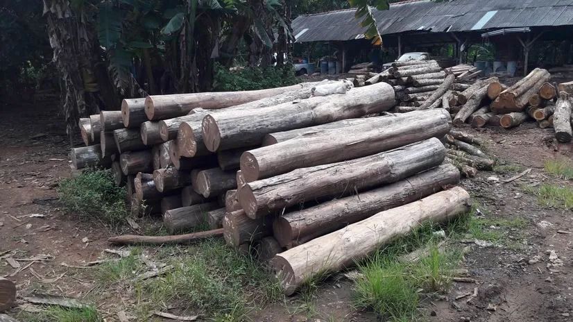 weathered teak wood legs